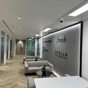 Technica Systems keeping Dior secure
